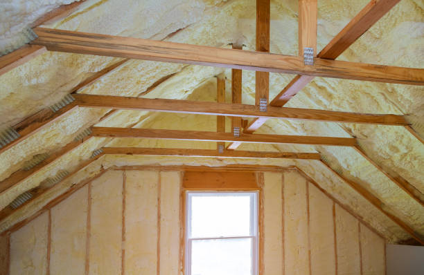 Best Commercial Insulation Contractor  in St Leo, FL