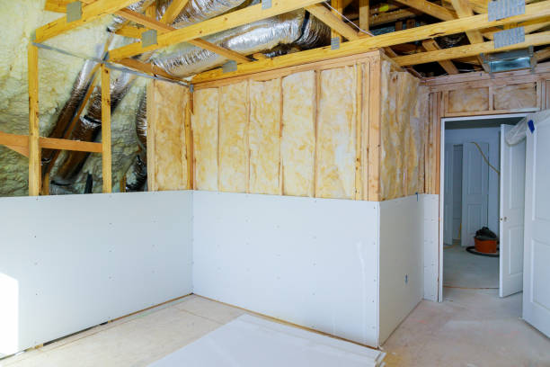Best Attic Insulation Installation  in St Leo, FL