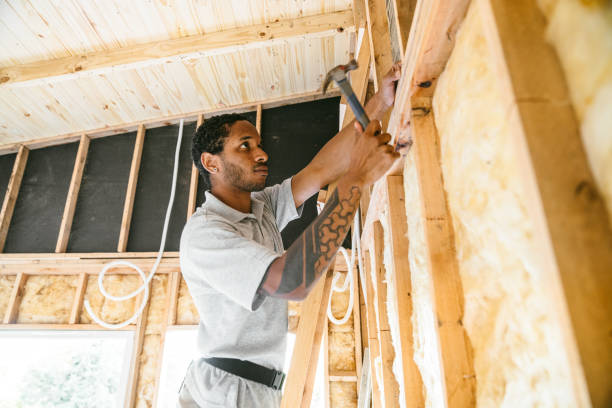 Professional Insulation Contractor in St Leo, FL