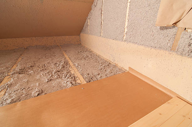 Best Insulation for New Construction  in St Leo, FL